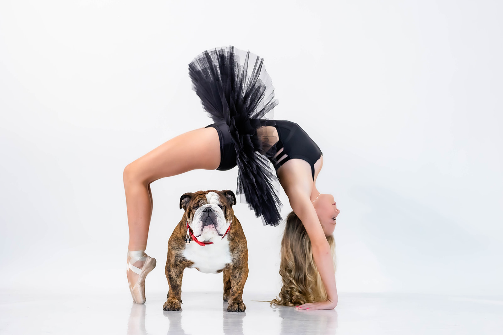 Photography Ambassador, dancers and dogs